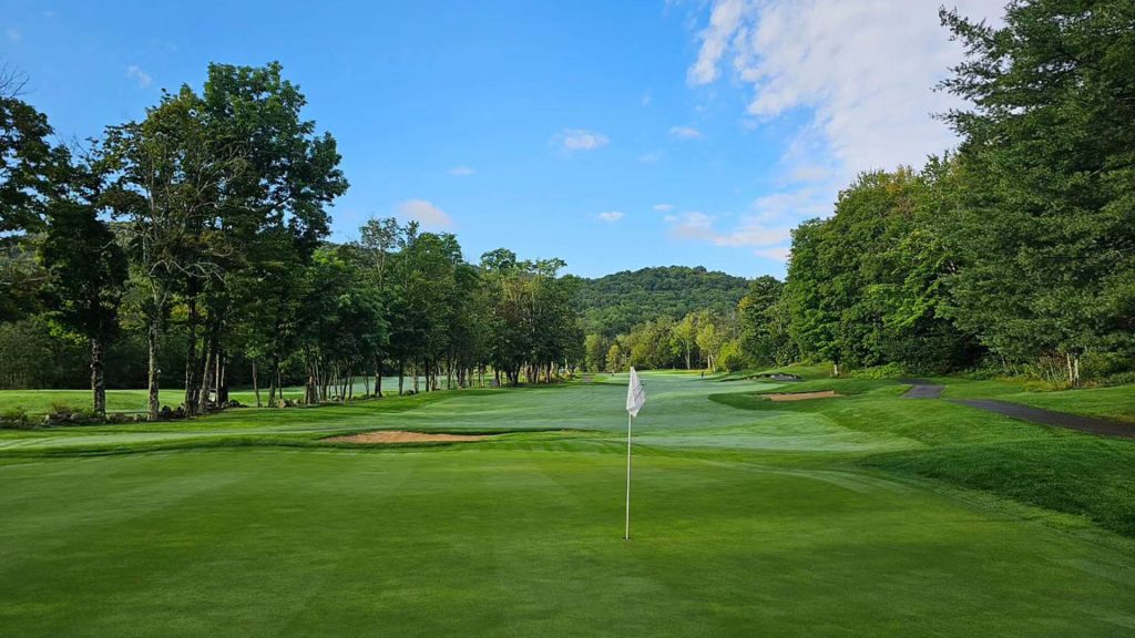 Green Mountain National green on a summer day