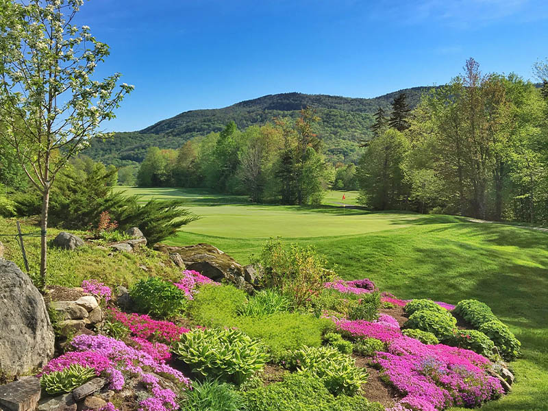 Green Mountain National golf course landscaping near the green